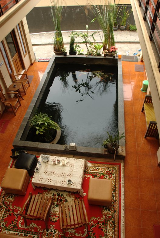 Bandung: carp pond at Orange Home