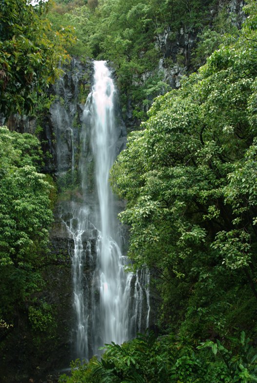 Maui: Waterfall