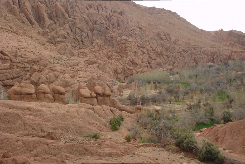 Dades Gorge, Morocco: Monkey's Toes