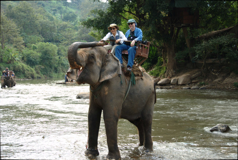 Chiang Mai: On the Elephant