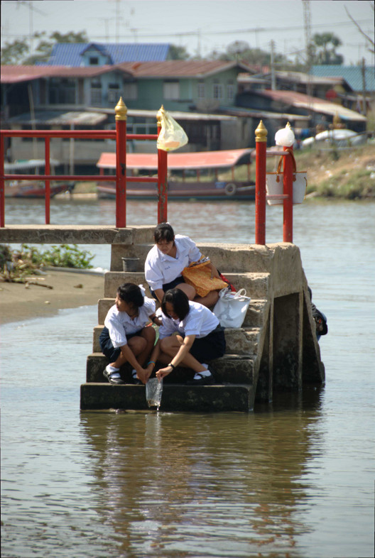 Ayutthaya: Freeing Fish for Merit