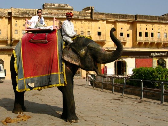 Amber Fort, India: Rajasthani Transport