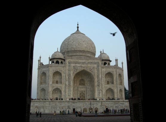 Agra, India: Dove over Taj Mahal