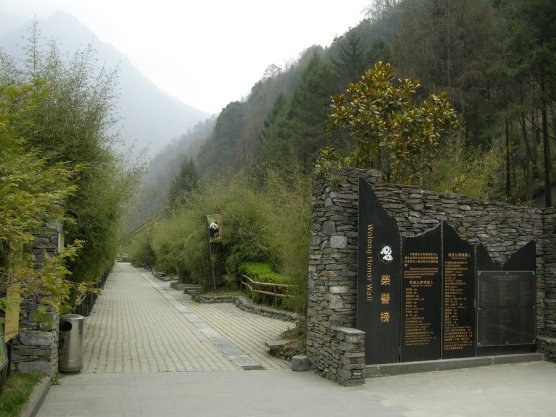 Entry to Wolong
