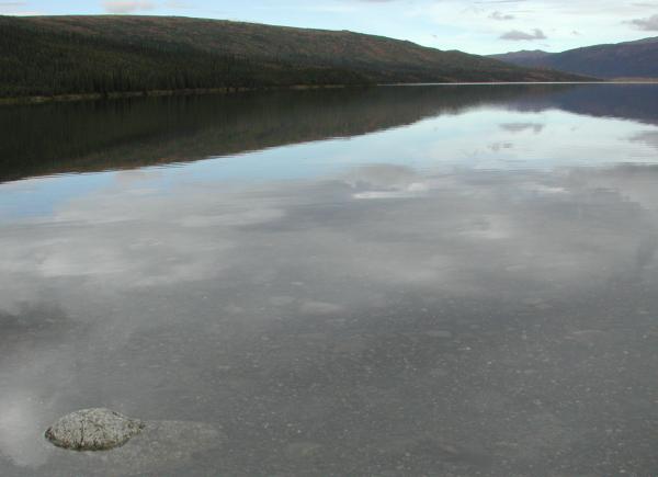 Denali National Park: Wonder Lake