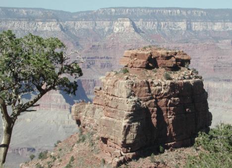 Grand Canyon National Park: Cedar Ridge