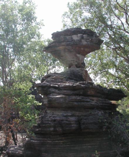 Kakadu National Park, Australia: Bardedjilidji Sandstone Formations
