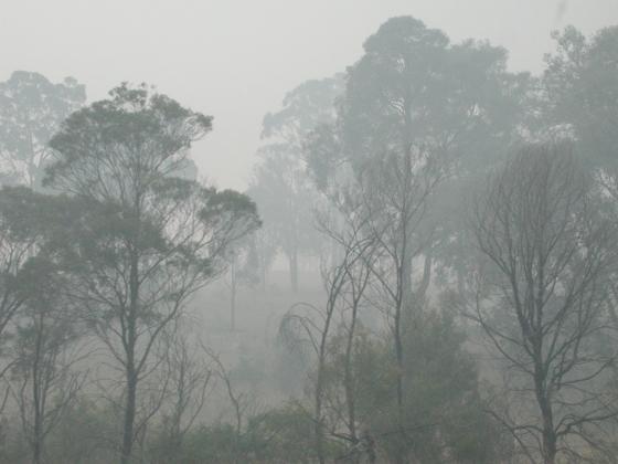 New South Wales, Australia: In Bushfire Smoke