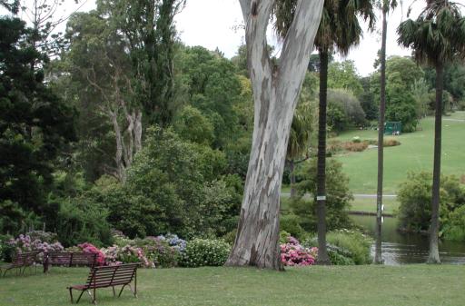 Melbourne, Australia: Botanic Gardens