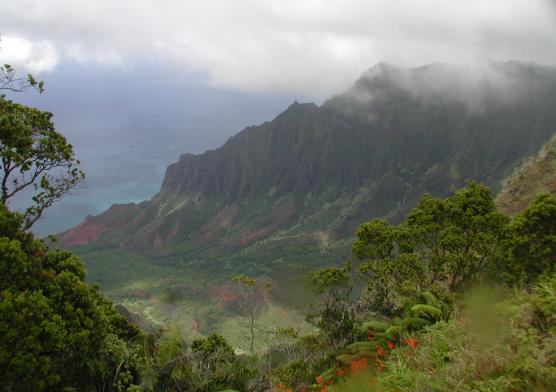 Kauai, Hawaii: Kalalau Valley, above the Na Pali Coast