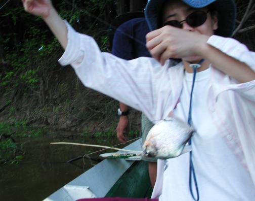 Araca River, Brazil: Catching Piranha