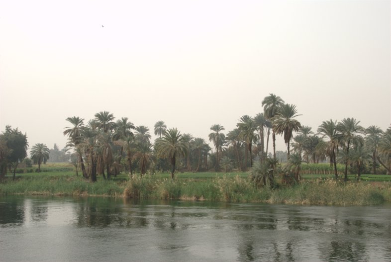 On the Nile