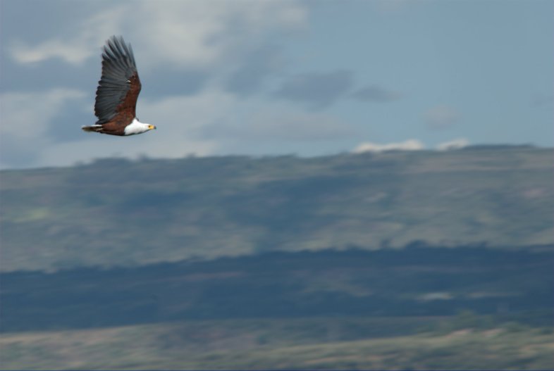 Kenya, Tanzania