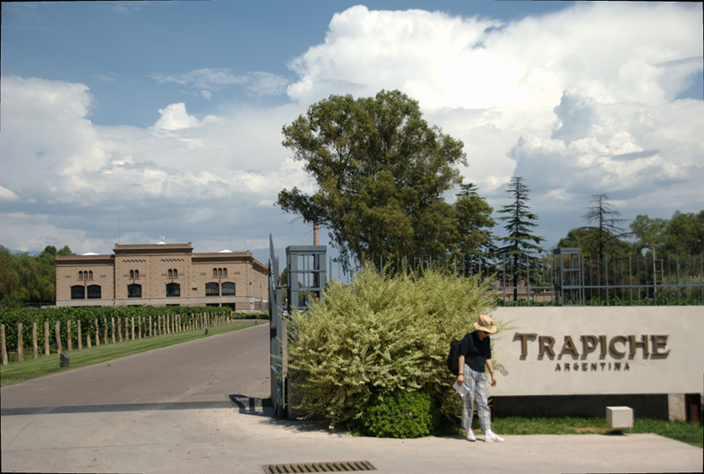 Meipu: Trapiche vineyards