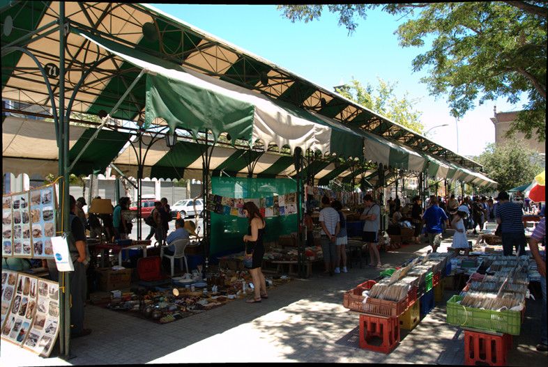 Valparaiso: Flea Market
