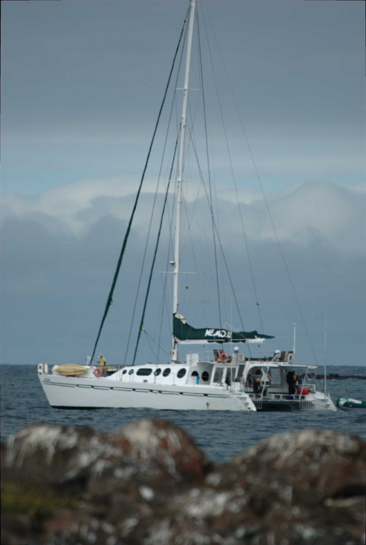 Galapagos Islands: Nemo II