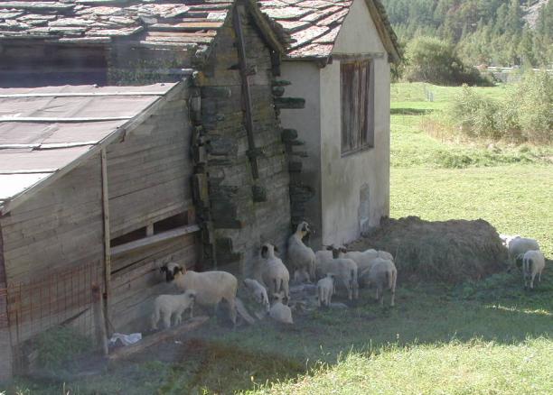 Switzerland: Alpine Farmland