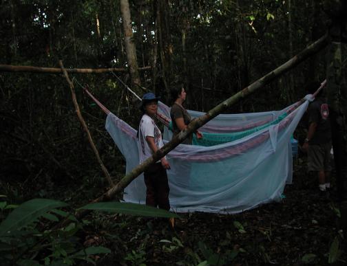 Jurara River, Brazil: Campsite