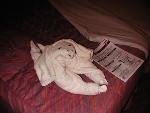 Cute animal presented at turndown service