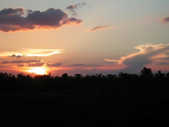 Kruger Park, South Africa: Sunset on Christmas Eve