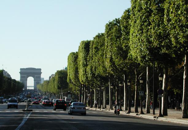 Paris, France: Champs Elysees